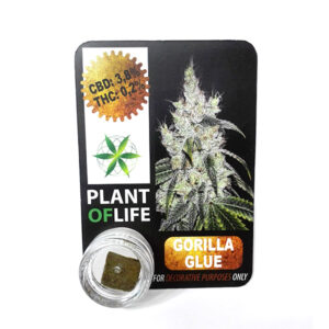 CBD Polen Plant of Life 3.8% Gorilla Glue 1gr