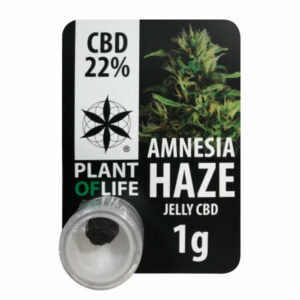 CBD Polen Jelly Amesia Haze 22% CBD